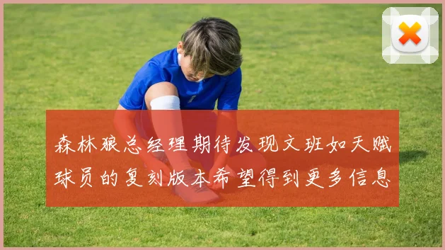 森林狼总经理期待发现文班如天赋球员的复刻版本希望得到更多信息