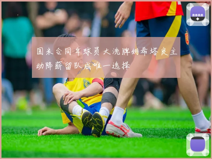 国米合同年球员大洗牌姆希塔良主动降薪留队成唯一选择
